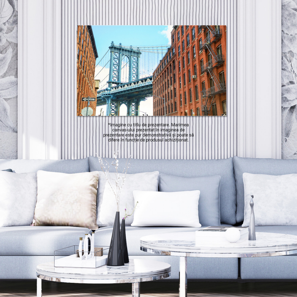 Podul Manhattan la Strada Brooklyn: Arhitectura Iconică a New York-ului, Marime 40x25CM [3]