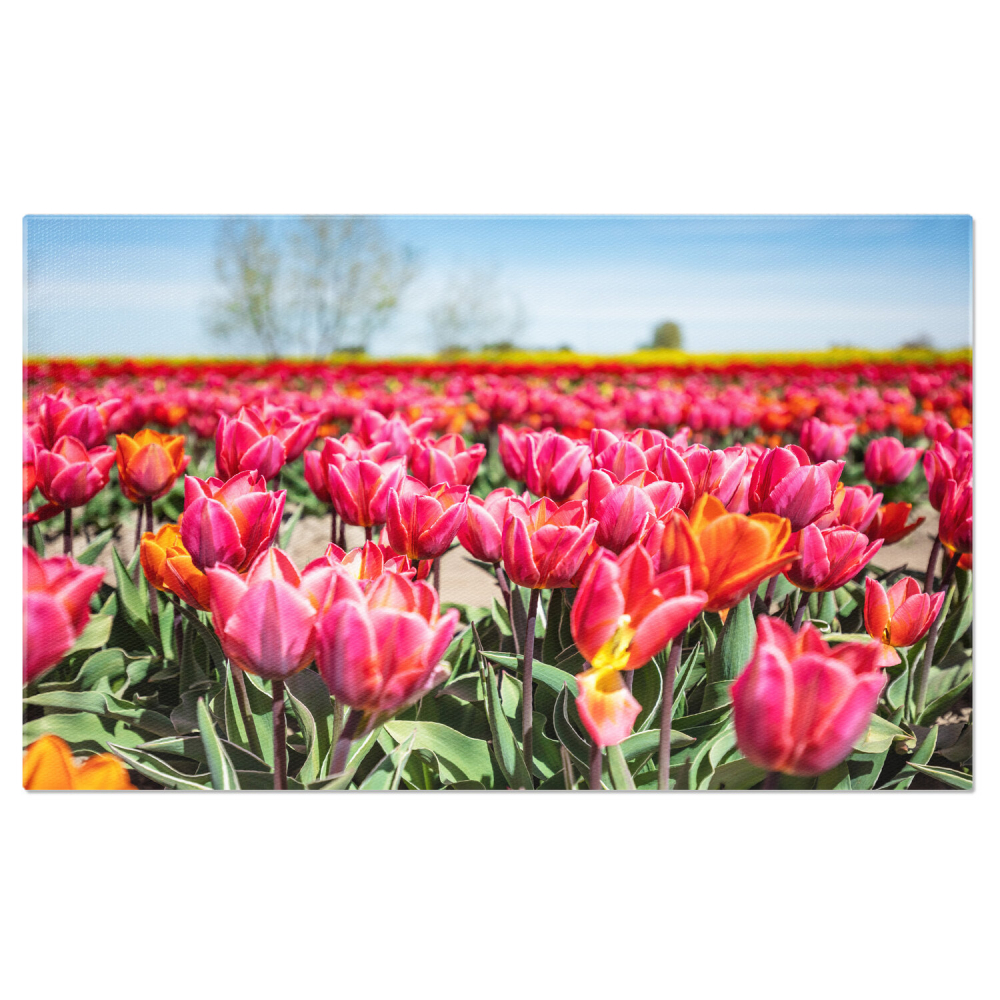 Tablou Canvas: Primăvara în Agricultură - Flori înflorite în Câmpul Rural, Marime 40x25CM [1]