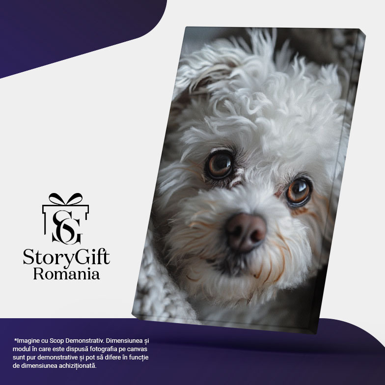 Tablou Canvas  Pufosul Catelus Alb cu Ochii Caprui Invelit in Paturica lui Groasa Gri, Pretty Puppy White , Pictura Digitala 40x25CM [5]