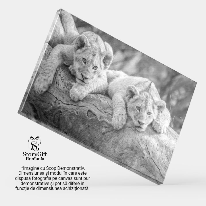 Tablou Canvas Pui de Leu Asezati pe un Trunchi Cazut, Feline, Safari, Natur 2785 40x25CM [4]