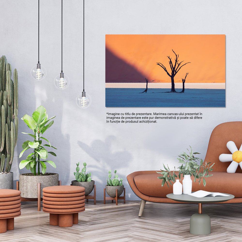 Pustiul African din DeadVlei: Sand, Dune și Peisaje Din Namibia, Marime 40x25CM [3]