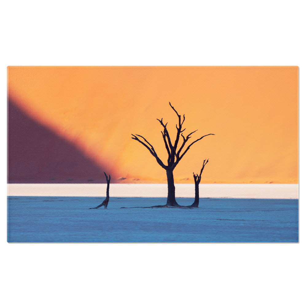Pustiul African din DeadVlei: Sand, Dune și Peisaje Din Namibia, Marime 40x25CM [1]