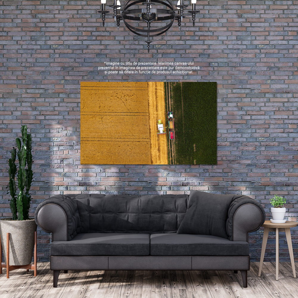Tablou Canvas: Recolta Agricola - Combina, Campuri, Agricultura, Tehnologie Drone 40x25CM [4]