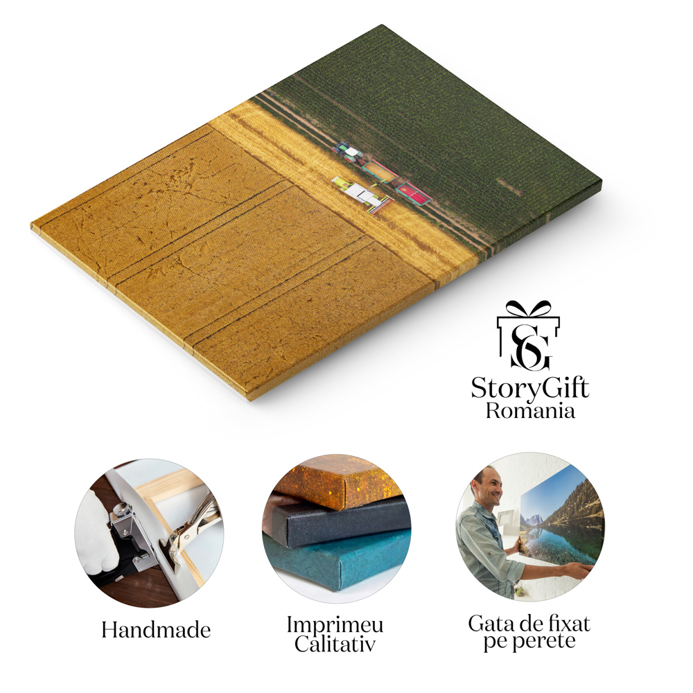 Tablou Canvas: Recolta Agricola - Combina, Campuri, Agricultura, Tehnologie Drone 40x25CM [5]