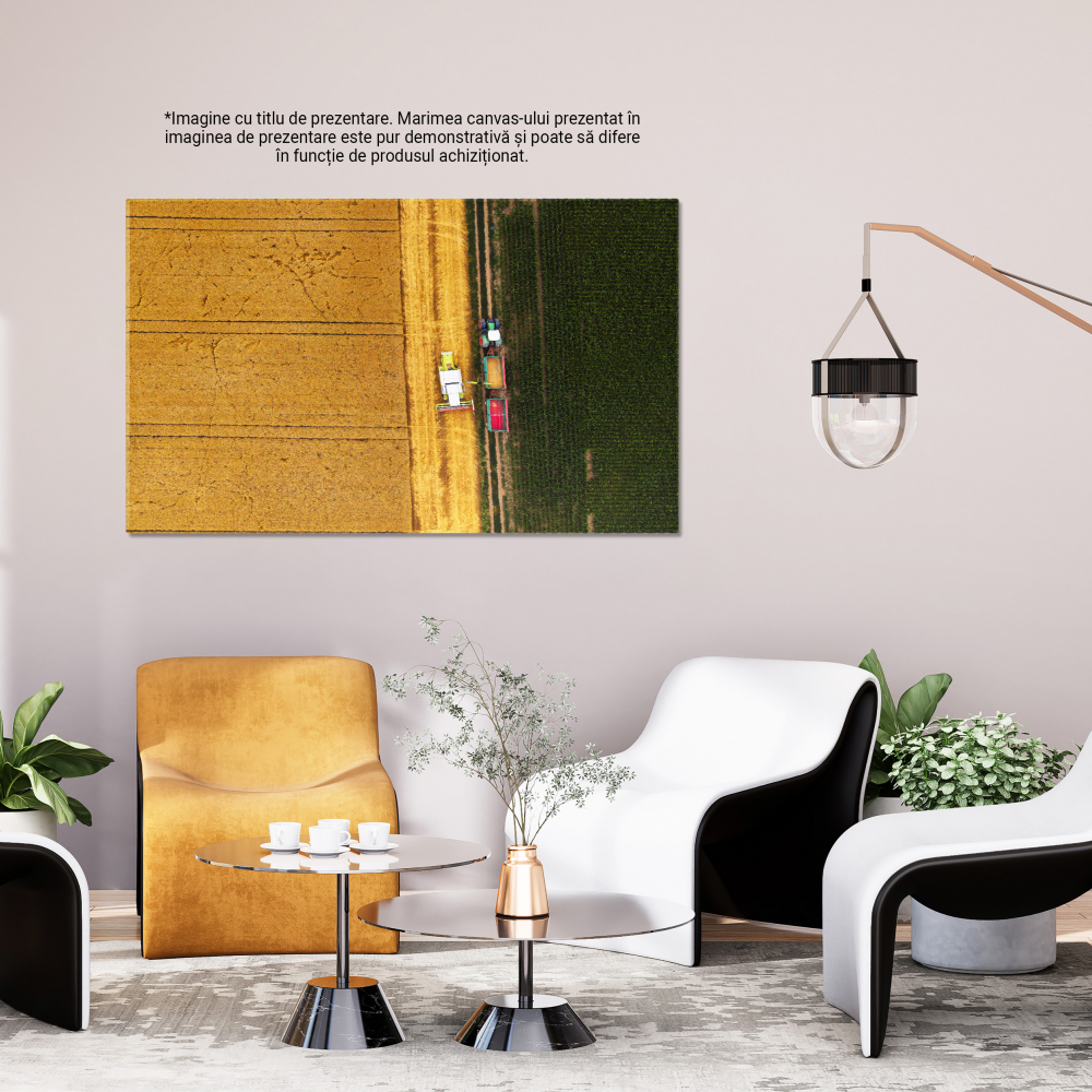 Tablou Canvas: Recolta Agricola - Combina, Campuri, Agricultura, Tehnologie Drone 40x25CM [3]
