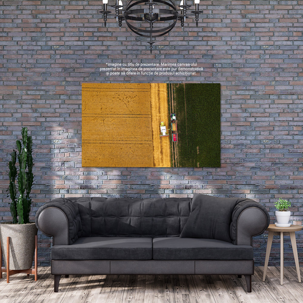 Tablou Canvas: Recolta Agricola - Combina, Campuri, Agricultura, Tehnologie Drone 40x25CM [4]