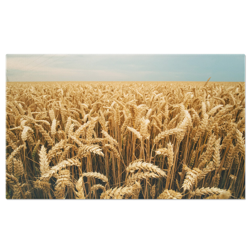 Tablou Canvas Recolta de Orz, Agricultura Bogata pe Camp 40x25CM [1]