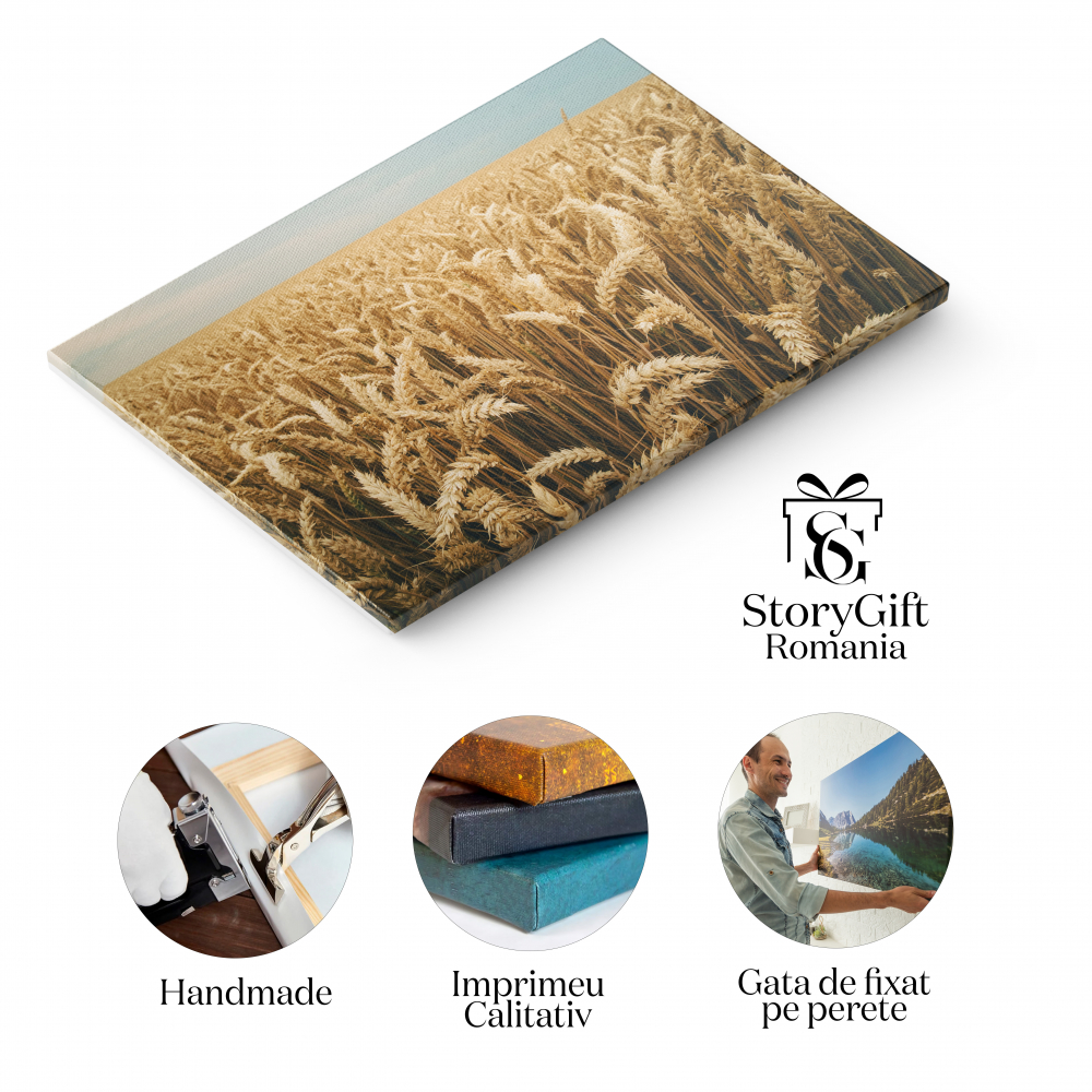 Tablou Canvas Recolta de Orz, Agricultura Bogata pe Camp 40x25CM [1]