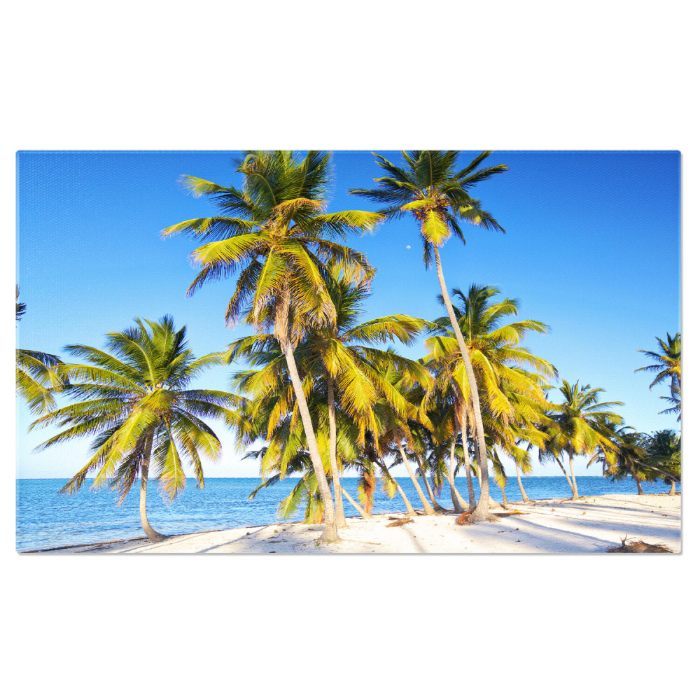 Relaxare pe Plaja Idilică din Republica Dominicană, Marime 40x25CM [1]