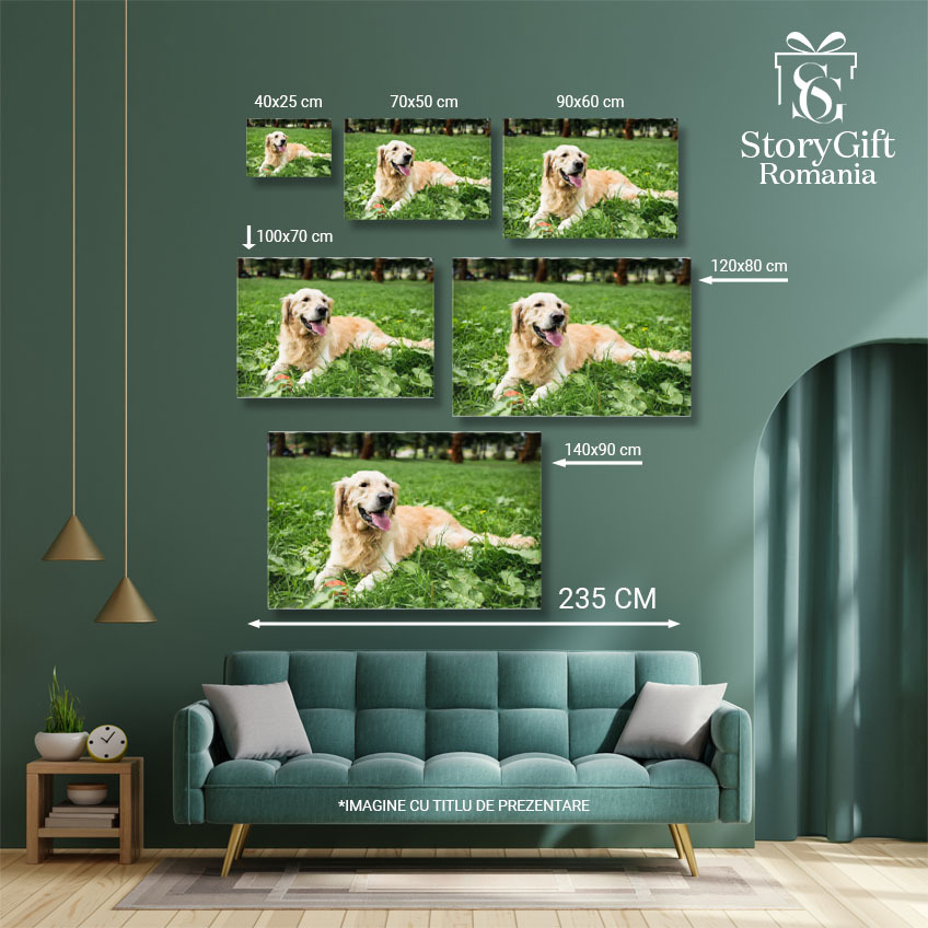 Tablou Canvas Retriever Auriu Amuzant Odihnindu-se pe Gazon Verde Golden Retriever, Amuzant, Odihna, Gazon Verde, Relaxare. 2100 40x25CM [5]