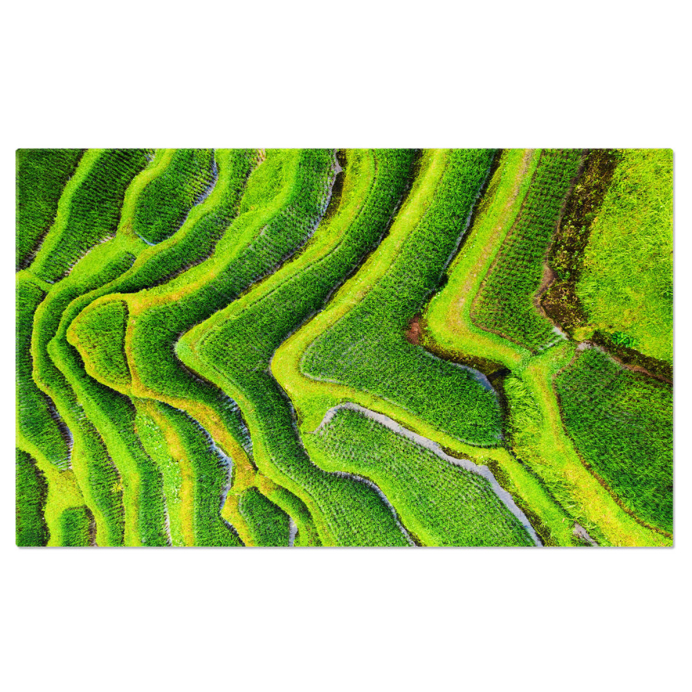 Rizieri Terase Aerian, Marime 40x25CM [1]