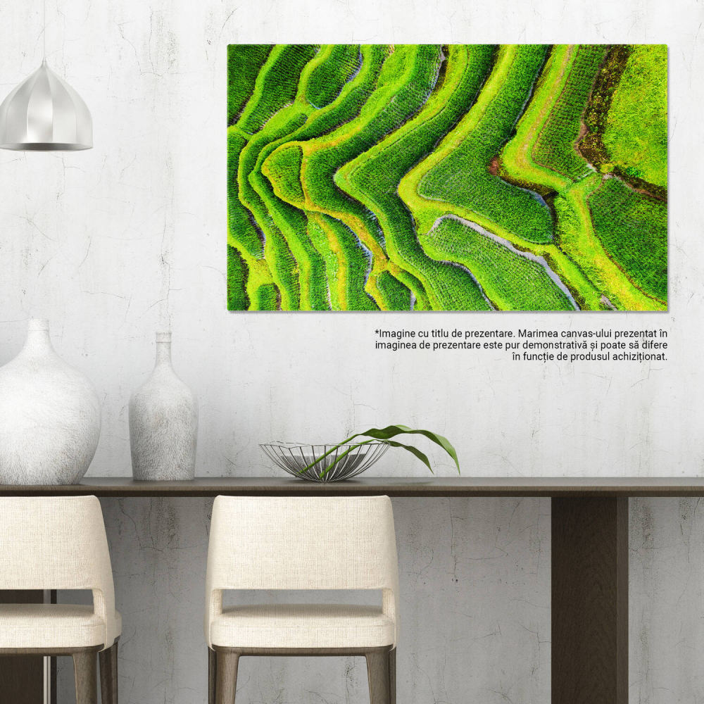 Rizieri Terase Aerian, Marime 40x25CM [3]