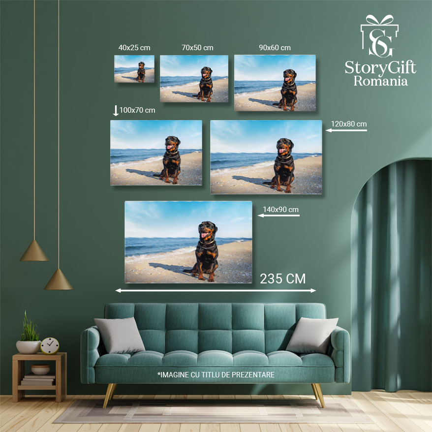 Tablou Canvas Rottweiler Pe Plaja cu Fundalul Oceanului, coasta, primavara, apa, plaja, Rottweiler 3802 40x25CM [5]