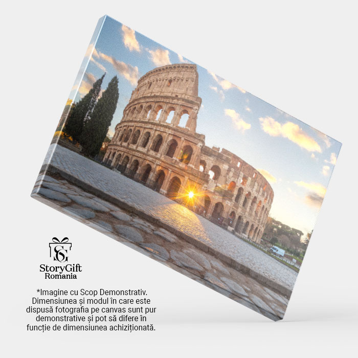 Tablou Canvas: Ruinele Romei - Bucurie pentru Calatori 40x25CM [4]