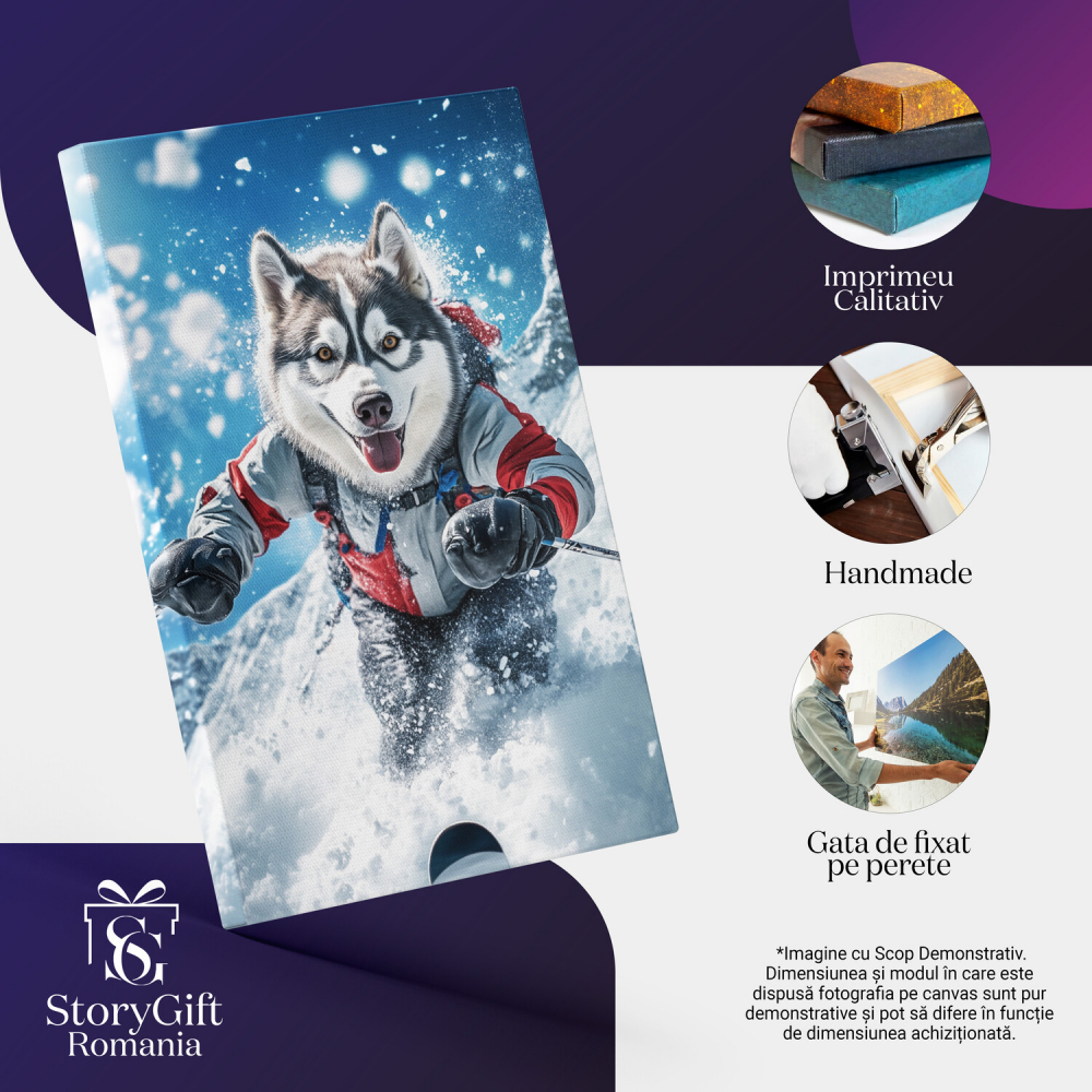 Tablou Canvas Personalizat Schiuri Pe Munte, Sportiv Iarna
Marime 70x50CM [4]