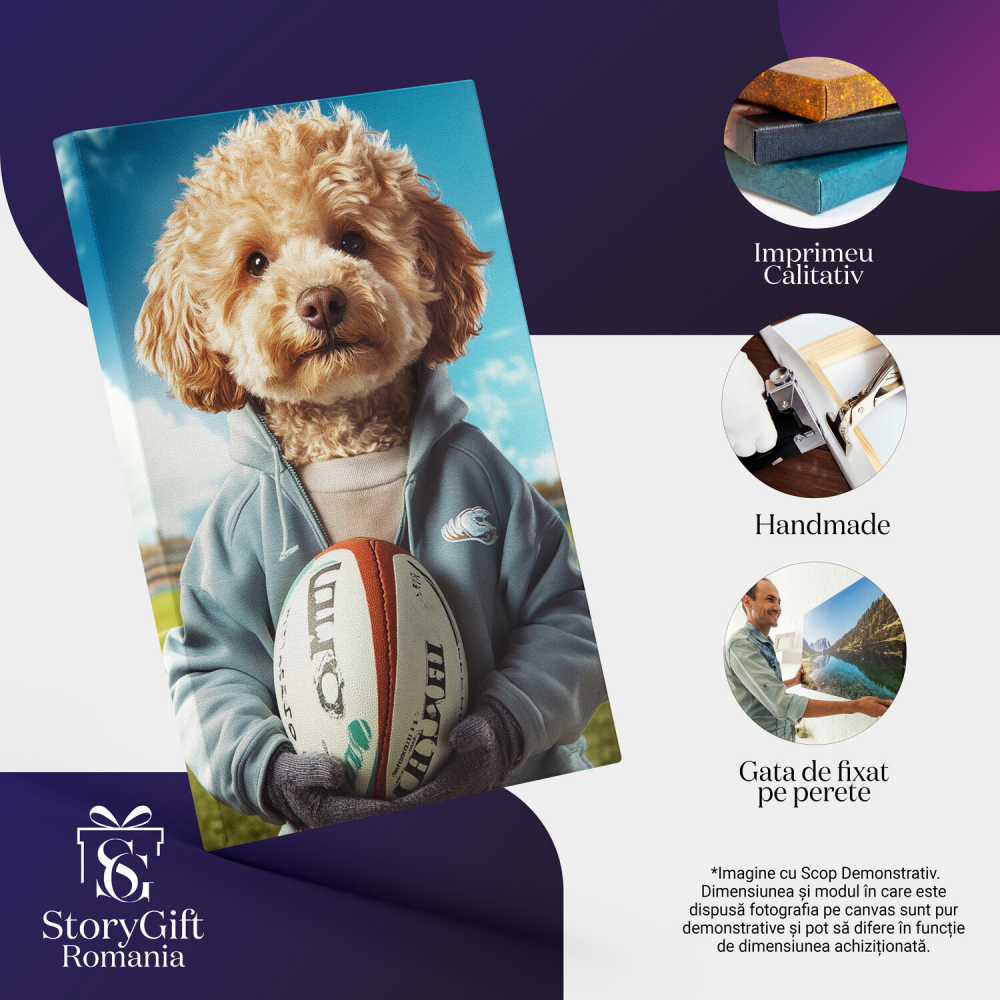  Tablou Canvas Personalizat Sportiv Pe Teren Cu Hanorac Albastru Și Minge De FotbalMarime 40x25CM [4]