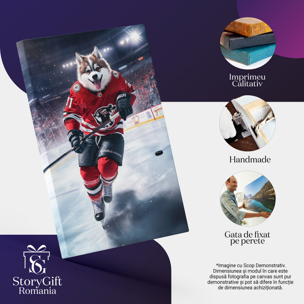  Tablou Canvas Personalizat Sportiv Pe Gheață Cu Echipament RoșuMarime 40x25CM [4]