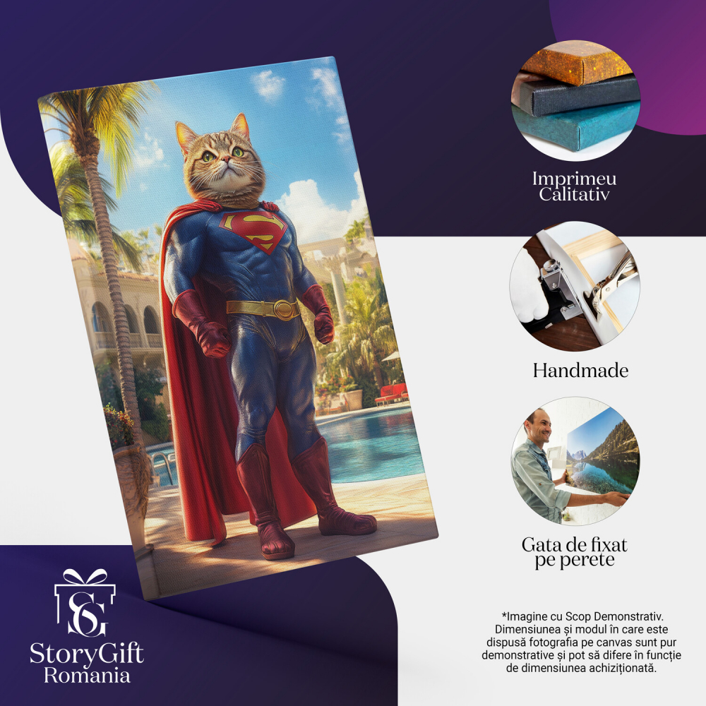  Tablou Canvas Personalizat Superman În Vila Cu Piscină Gata De LuptăMarime 40x25CM [4]