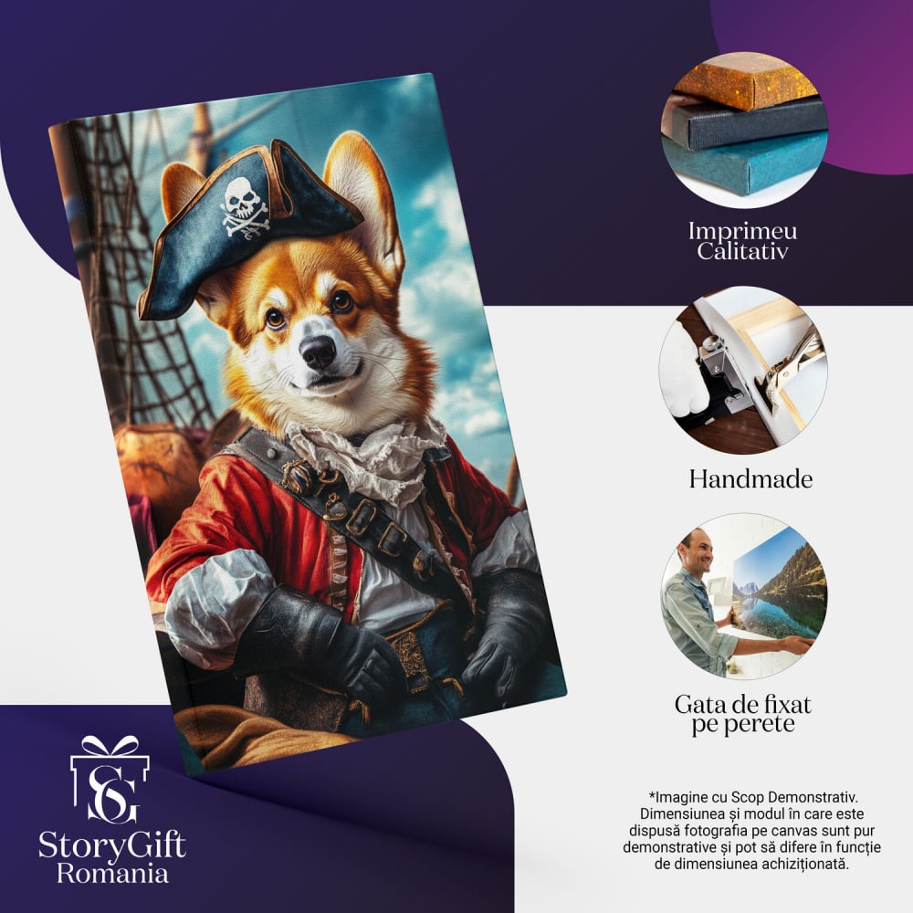  Tablou Canvas Personalizat Pirat Colorat Cu Bluă Roșie Și Pantaloni AlbastreMarime 40x25CM [4]