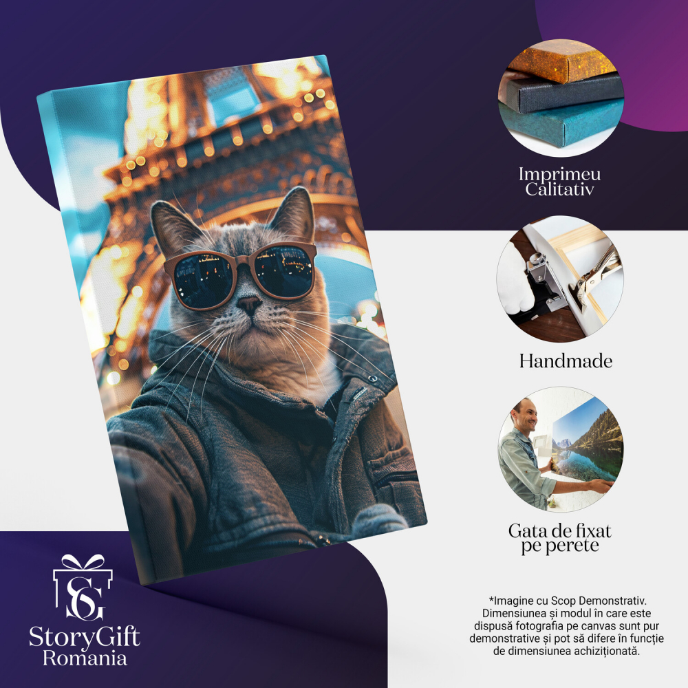 Tablou Canvas Pisica Elegantă în Paris cu Ochelari de Soare, Marime 40x25CM [2]