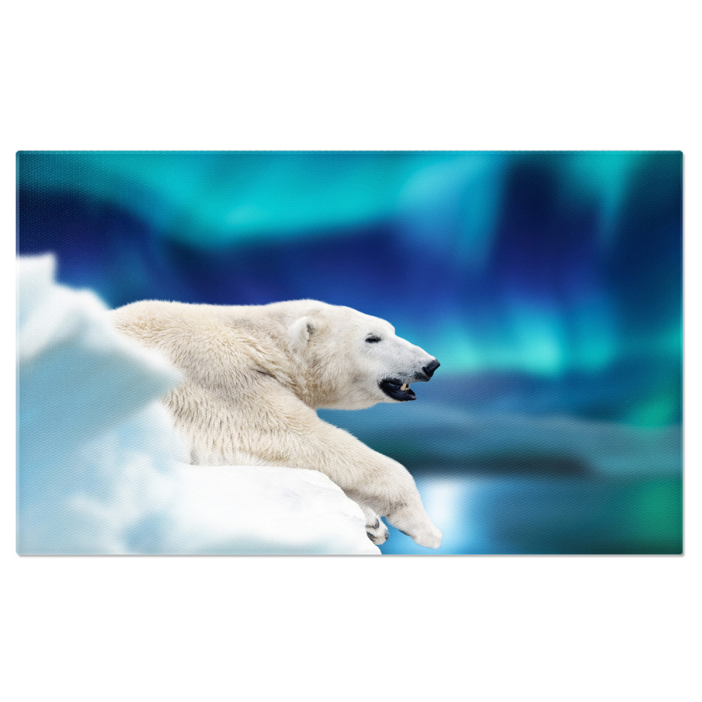 Urs Polar în Arctica Nordică - Față de Gheață, Marime 40x25CM [1]