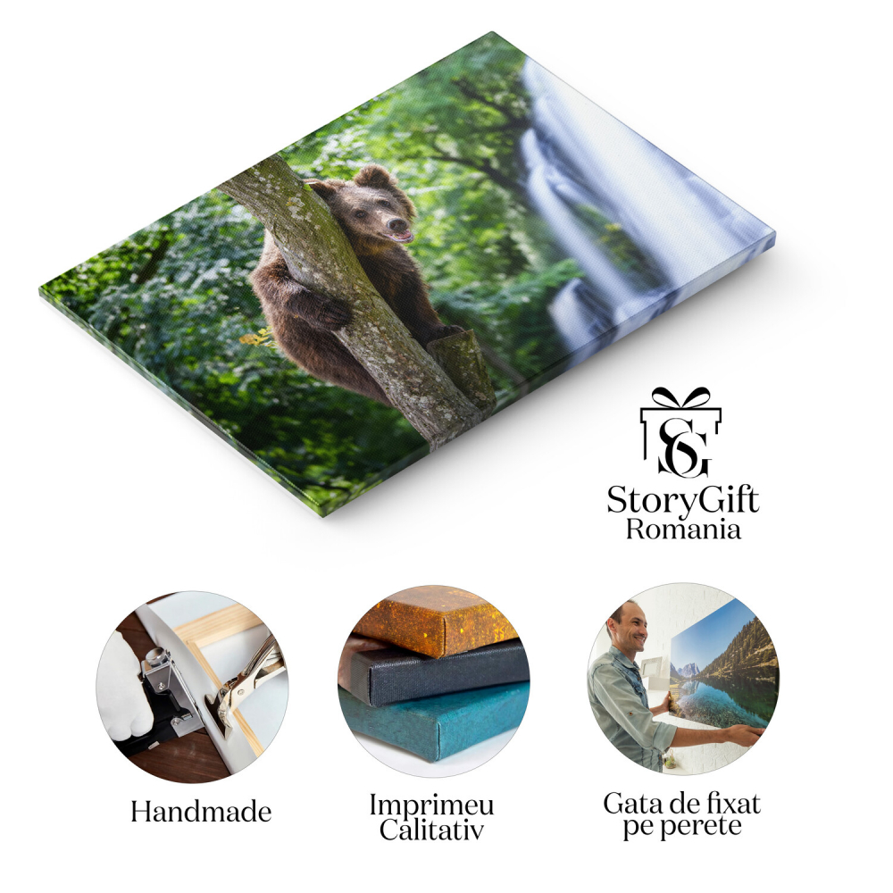 Tablou Canvas Urși Grizzly Juvenili: Întâlnire cu Uimirea Naturii Sălbatice, Marime 40x25CM [2]