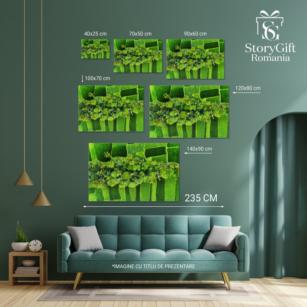 Vedere Aeriană a Pădurii Verzi cu Copaci și Câmp Colorat, Marime 40x25CM [4]