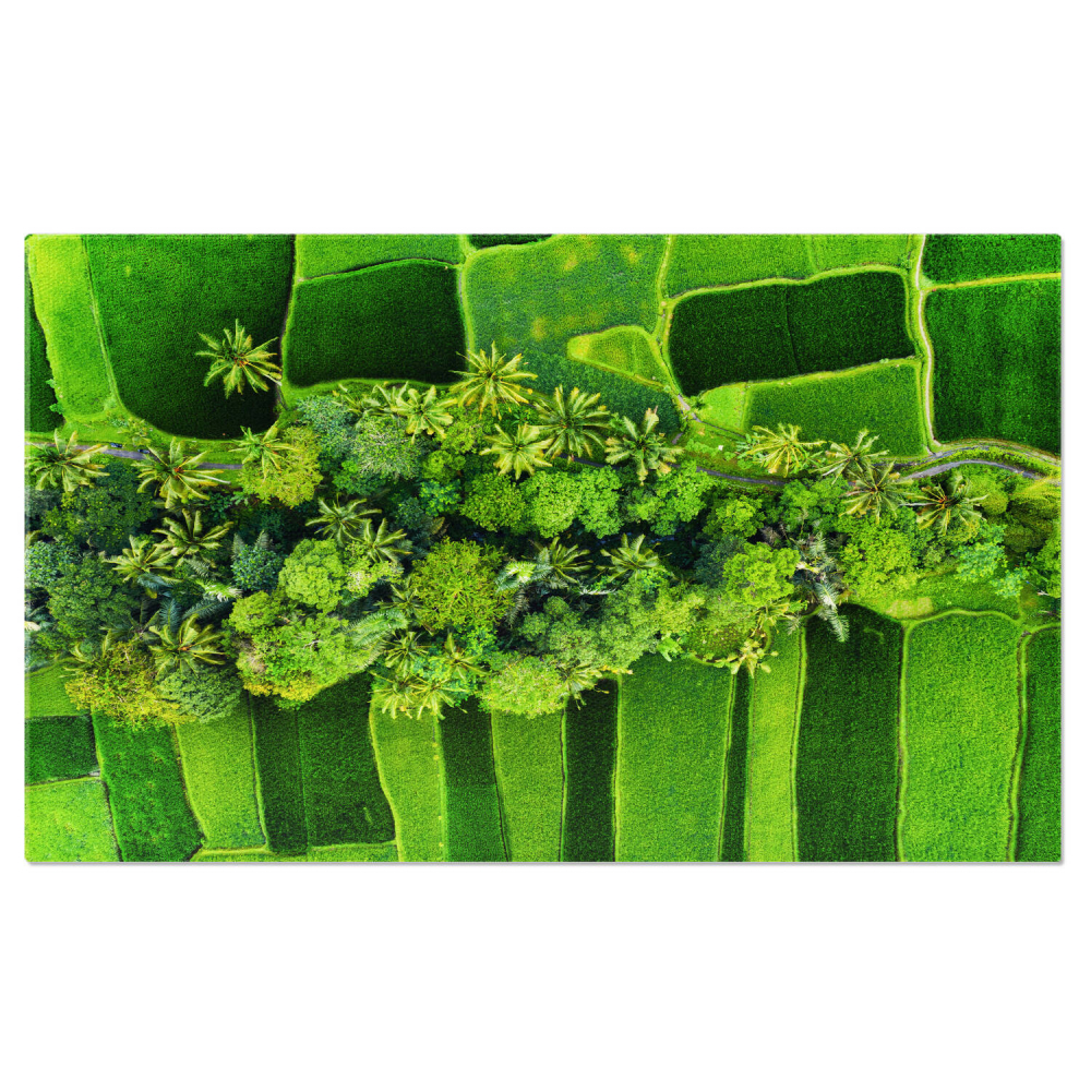 Vedere Aeriană a Pădurii Verzi cu Copaci și Câmp Colorat, Marime 40x25CM [1]