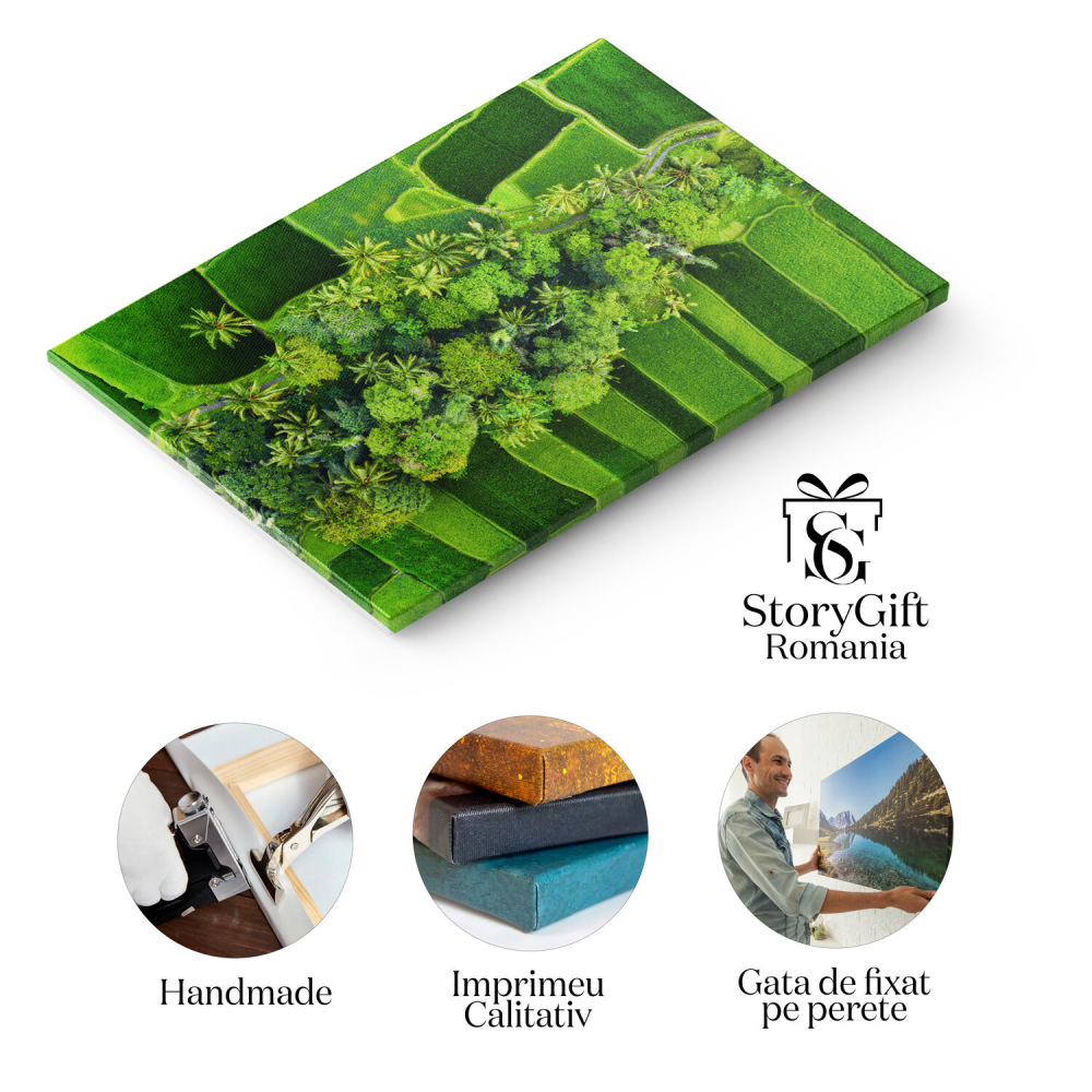 Vedere Aeriană a Pădurii Verzi cu Copaci și Câmp Colorat, Marime 40x25CM [2]