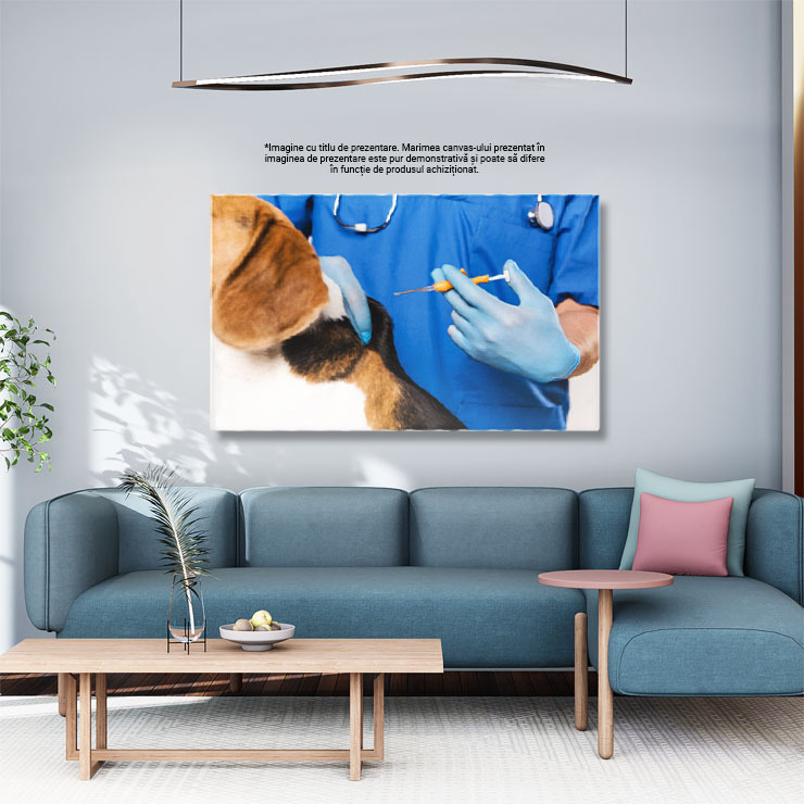 Tablou Canvas Veterinar in Halat Albastru Tinand Siringa Veterinar, Sanatate Animala, Control, Blana, Ingrijire 1287 40x25CM [3]