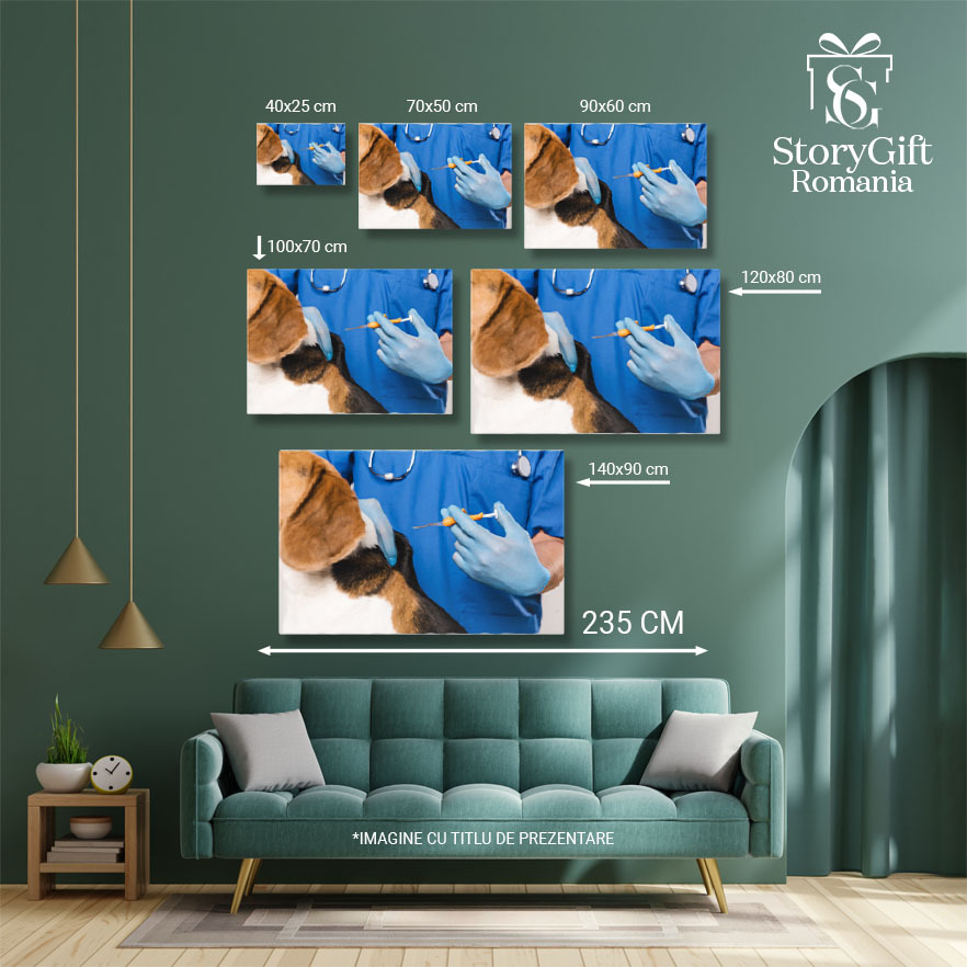 Tablou Canvas Veterinar in Halat Albastru Tinand Siringa Veterinar, Sanatate Animala, Control, Blana, Ingrijire 1287 40x25CM [5]