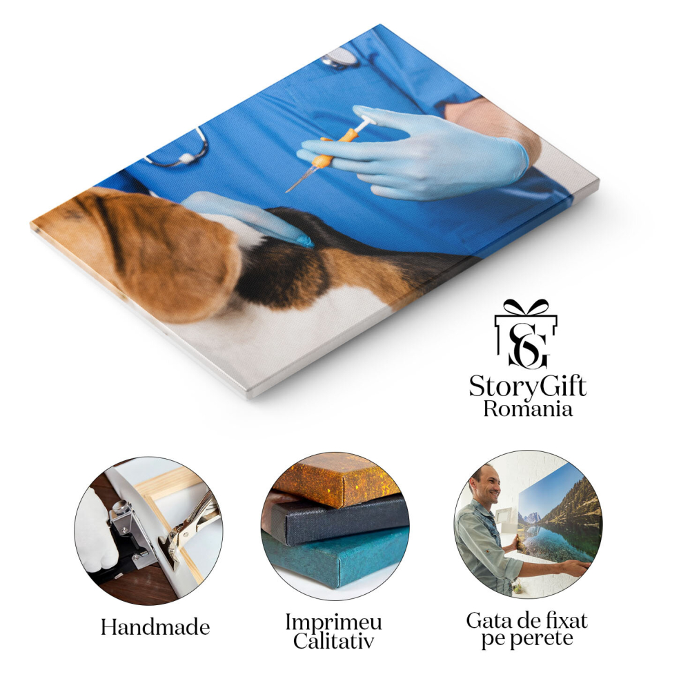 Tablou Canvas Veterinar in Halat Albastru Tinand Siringa Veterinar, Sanatate Animala, Control, Blana, Ingrijire 1287 40x25CM [2]