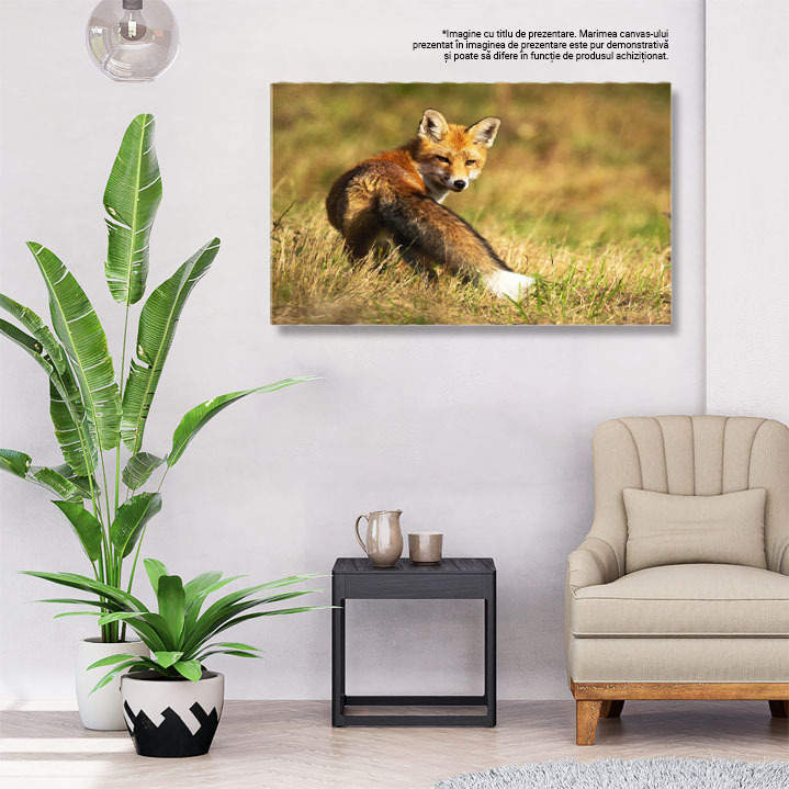 Tablou Canvas - Vulpea Rosie: Observand Soarele in Taramul Salbatic 40x25CM [3]