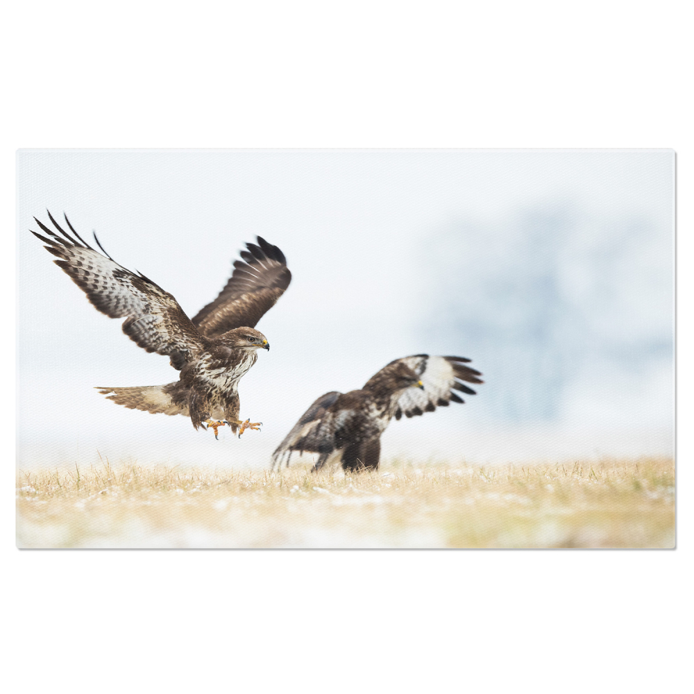 Tablou Canvas Vultur în Luptă cu Natura: Safari African Impresionant, Marime 40x25CM [1]