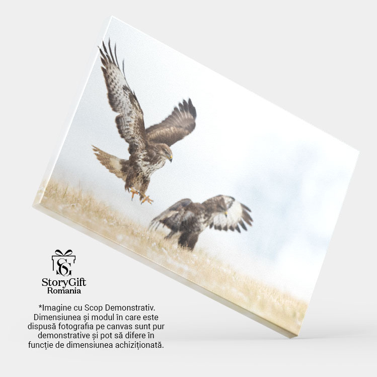 Tablou Canvas - Vultur in Lupta cu Natura: Safari African Impresionant 40x25CM [4]