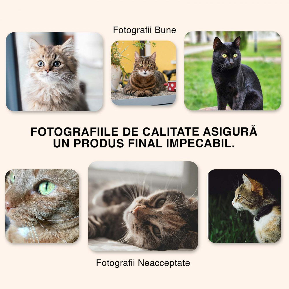 Cana cu Animal Pe Motocicleta, La Apus cu Palmieri, Peronalizata cu Numele si Poza Animalului Tau cu Maner Rosu [3]