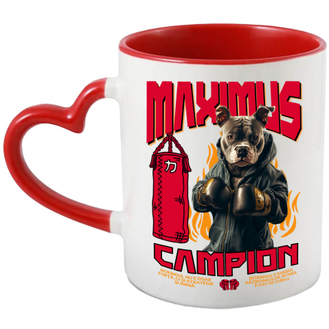 Cani - Cana cu Animal Boxer In Hanorac, Sac de Box, Flacari, Peronalizata cu Numele si Poza Animalului Tau cu Maner Inima Rosie