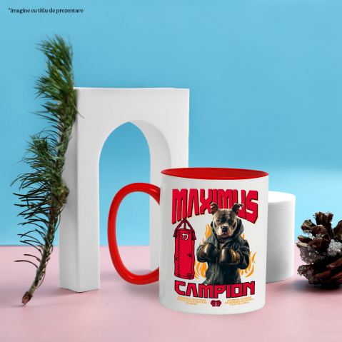 Cana cu Animal Boxer In Hanorac, Sac de Box, Flacari, Peronalizata cu Numele si Poza Animalului Tau cu Maner Rosu [5]