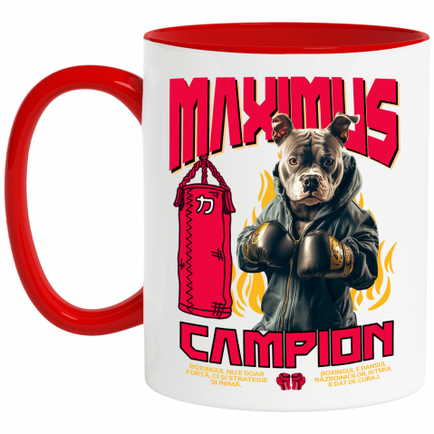 Personalizate cu Animalul Tau - Cana cu Animal Boxer In Hanorac, Sac de Box, Flacari, Peronalizata cu Numele si Poza Animalului Tau cu Maner Rosu