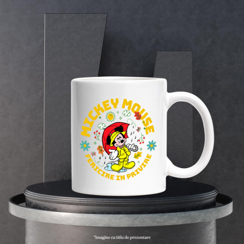 cana-mickey-mouse-aventura-sub-personalizat.jpg [2]