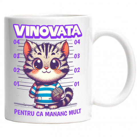 cana-personalizata-pisica-in-dungi-personalizat.jpg