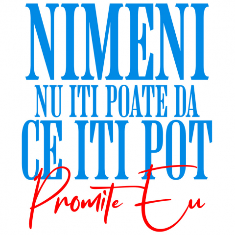 AMUZANTE - Sticker Adeziv Autocolant Personalizat „Nimeni Nu Îți Poate Da Ce Îți Pot Promite Eu” – Dedicatie Romantică și Cadou Amuzant pentru Iubiți