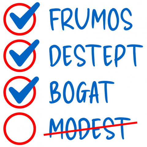 Sticker Adeziv Autocolant Personalizat Lista Cerințe Îndeplinite – Cadouri Personalizate cu Mesaje Frumoase pentru Iubire și Relații Perfecte