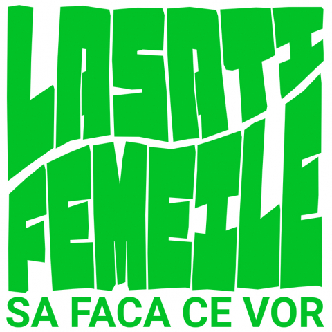 Sticker Personalizat - Sticker Adeziv Autocolant Personalizat Mesaj Haios „Lasați femeile să facă ce vor” – Cadou Personalizat Amuzant