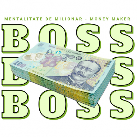 BANI - Sticker Adeziv Autocolant Personalizat Teanc Bancnote 100 Lei – „Masiv Boss, Mentalitate de Milionar” – Cadou Personalizat pentru Familie, Tati, Prieteni, România