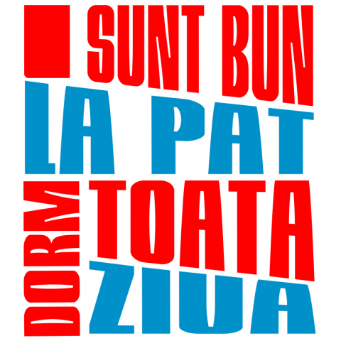 Sticker Personalizat - Sticker Adeziv Autocolant Personalizat Mesaj Haios „Sunt bun la pat, dorm toată ziua” – Cadou Personalizat pentru Bărbați
