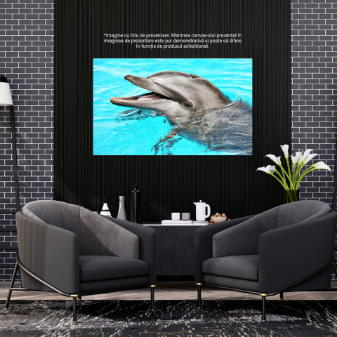 Amici Zâmbitori: Bucuria Jocului în Natură, Marime 40x25CM [2]