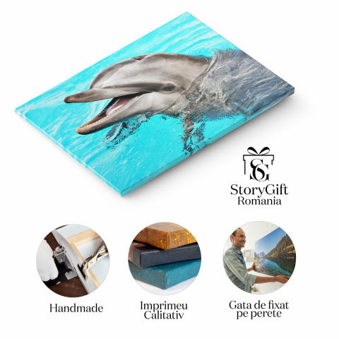 Amici Zâmbitori: Bucuria Jocului în Natură, Marime 40x25CM [1]