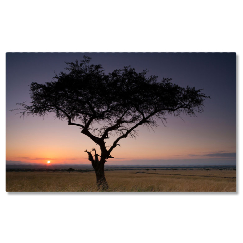 Tablouri Canvas - Tablou Canvas: Apus de Soare pe Savana Kenyana - Peisaj African, Silueta, Culoare 40x25CM