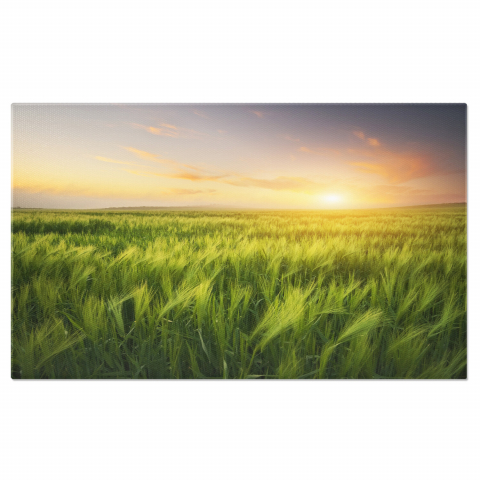 Peisaj - Apus de Soare în Câmpul de Grâu Vara: O Serenitate Rurală, Marime 40x25CM